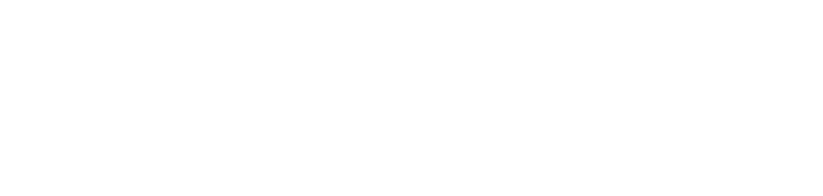 Voissa Logo